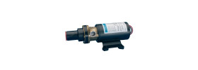 Macerator Pump